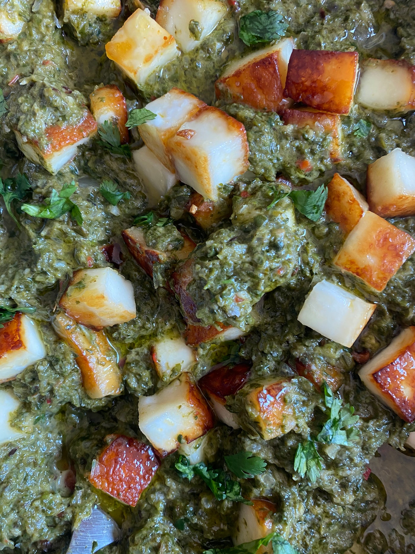 Palak Paneer