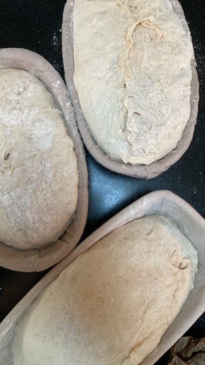 🍞 Excellent Sourdough Bread Workshop in 10 Steps 🍞Jan 5th 2025