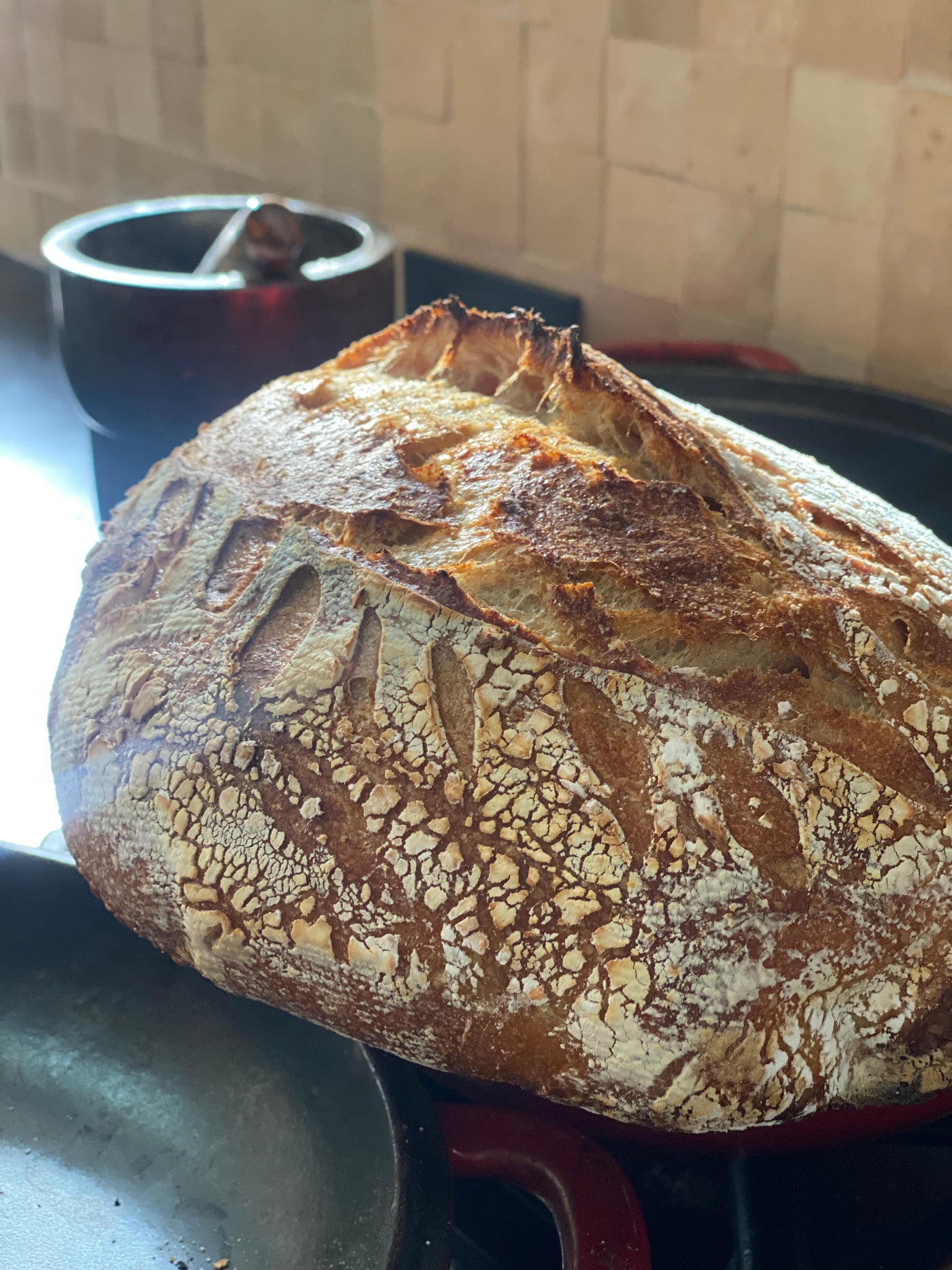 🍞 Excellent Sourdough Bread Workshop in 10 Steps 🍞Jan 5th 2025